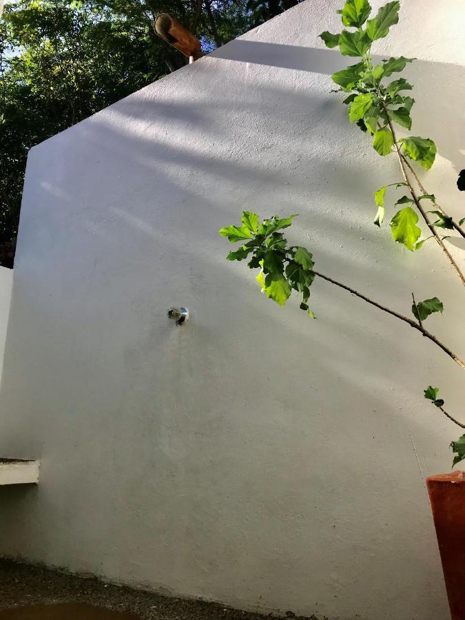 TubaráKamajoru Ecohabitat别墅 外观 照片